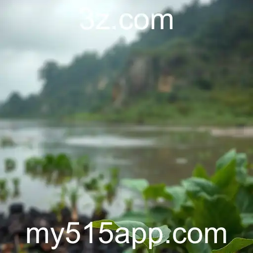 O Mundo Vibrante de my515: Tendências e Novidades em 2025